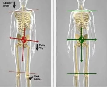 Affect The Pelvis Has On Your Body