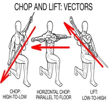 Chop and Lift Exercises For A Strong Core
